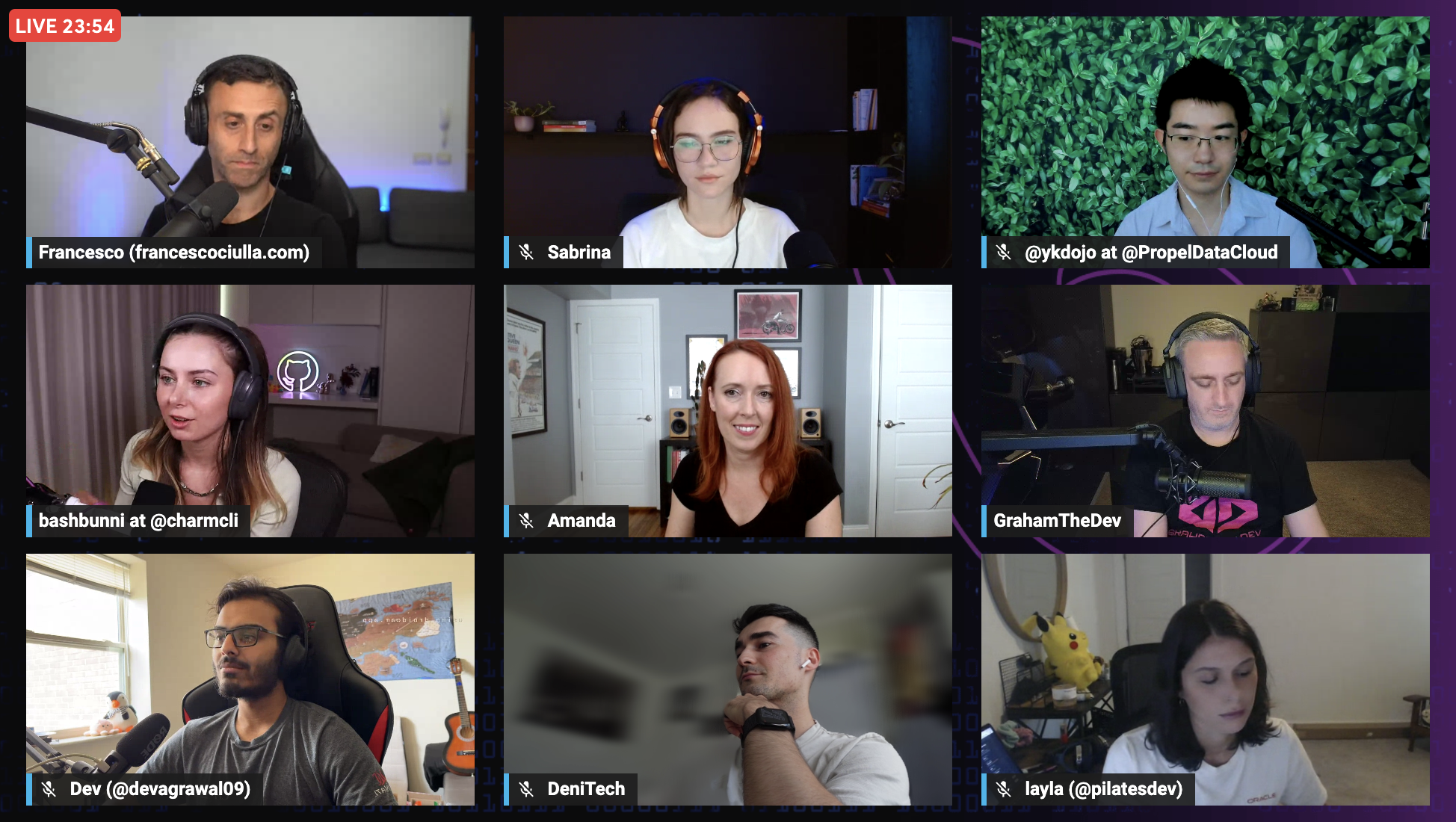 Live stream panel with the developer community